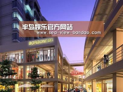 案例展示一(图1)