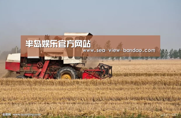 产品名称七(图1)
