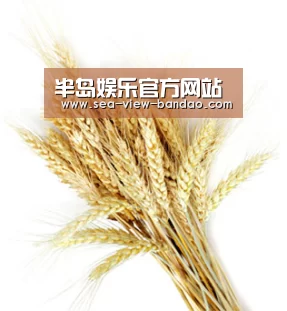 半岛娱乐官方网站