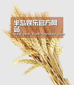 半岛娱乐官方网站